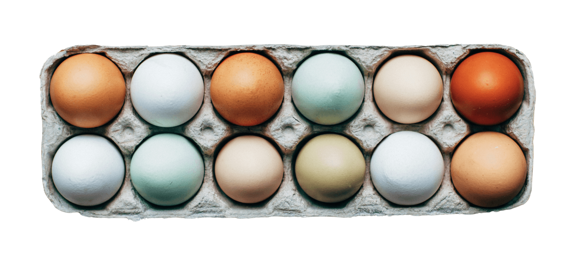 Portfolio Management